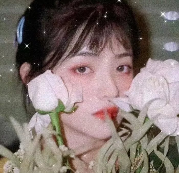 霍莉